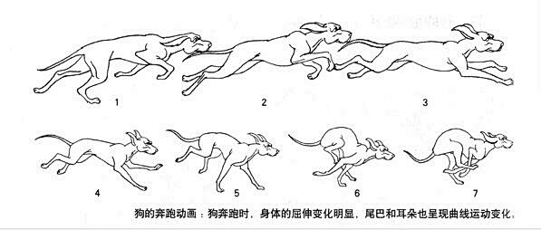 狗跑