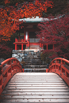 流川枫与佐助采集到一个人的风景