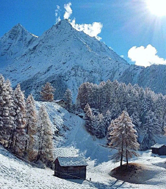 多鱼西采集到背景-----雪