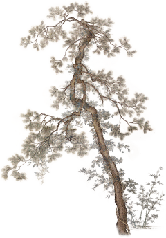 岛格海失采集到素材