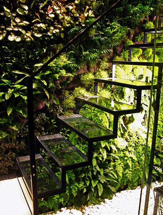 garden stairs | back...