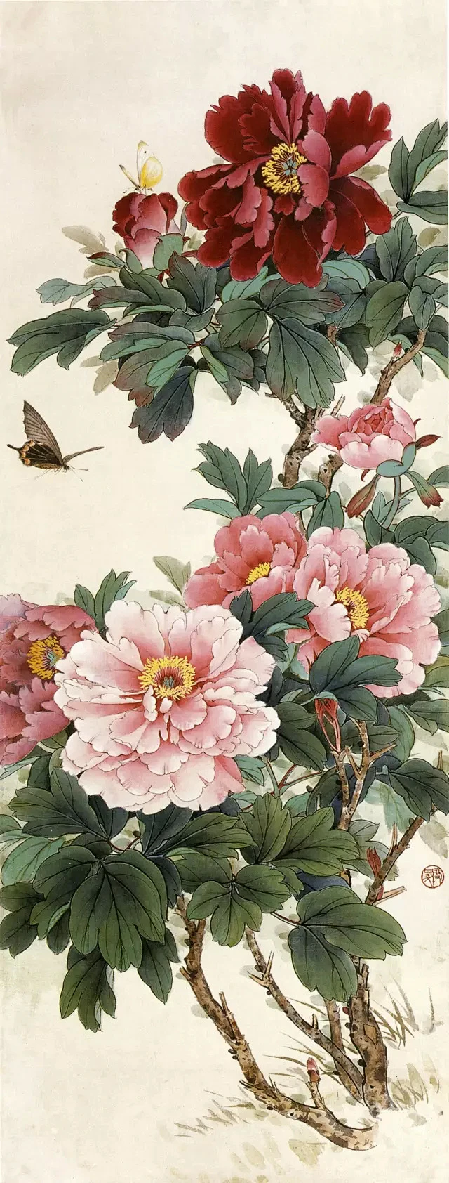 名家笔下的精品牡丹 -花瓣网