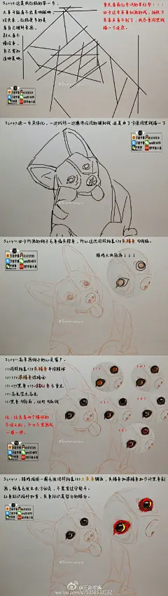 柯基宝宝 彩铅教程

#手绘##萌宠#
作者（@万能宇酱） ​​​​