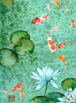 pool of longevity
