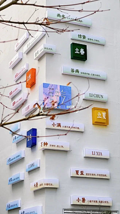 含杉木采集到文化墙