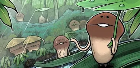 蘑菇 方吉_百度图片搜索-花瓣网