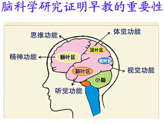 来一段华尔兹采集到大脑