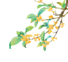 是大怪呢~采集到节假日