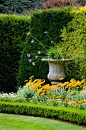 Beautiful Urn with casual Society Garlic in perennial border edged with clipped low hedge before backdrop of taller shaped clipped hedge