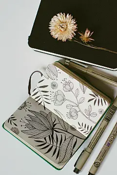 【植物插画系列图集下载】创意叶子草本花卉绘本绘画