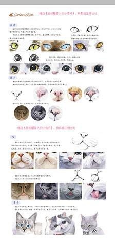 猫猫局部的画法：眼睛、鼻子、嘴、耳朵的画...