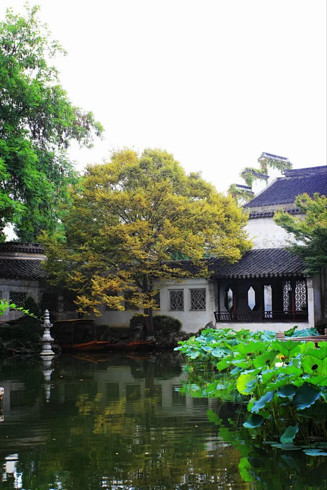#古典园林# #建筑景观# #苏州园林#-花瓣网