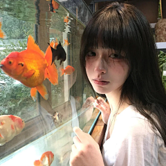 天宝元年的狗采集到好看的