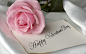 Valentines Day letters pink flowers pink roses roses wallpaper (#1721387) / Wallbase.cc