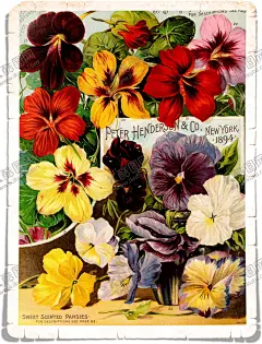 花 【酷图网】花,鲜花,玫瑰花,花朵,卡通,手绘,