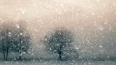 雪可循环