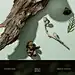 香水详情页#高端详情页#意境详情#香水#