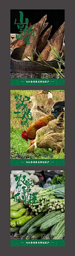 农家散养土鸡海报-享设计