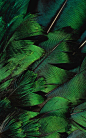 One of my favorite colors is #Emerald. I wouldn't use it for a wall, but for some details in decoration. #DRH20: 