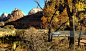 View East Temple Human History Museum Zion National Park Utah - 免版稅名勝古蹟圖庫照片