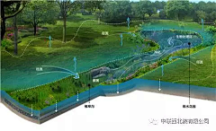 淙妈采集到海绵城市