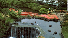 Yuisa采集到日本庭院