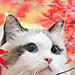 猫趣