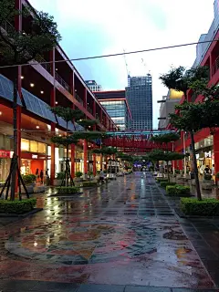 由于台风的拜访，台北下午2点开始陆续停课、停班、停业，我们也取消了原定计划，改在酒店附近就餐。路边的树都用绳子捆绑在一起。,两碗三片儿