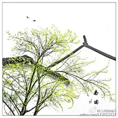 古典新风尚的照片 - 微相册