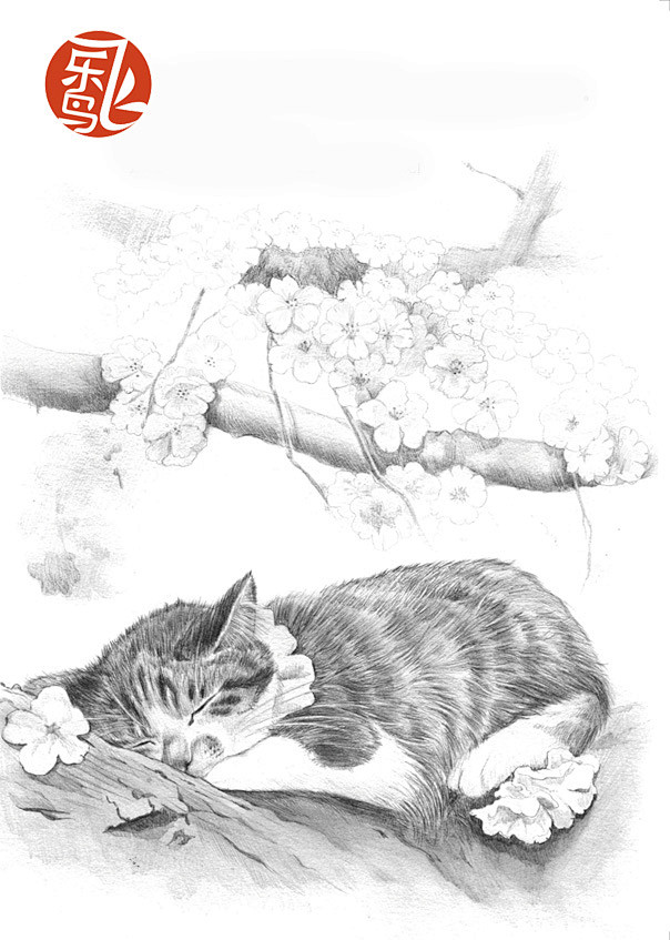 《画给喵星人的小素描》——献给最爱的喵星...