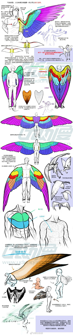 雙笙采集到C-插画教程