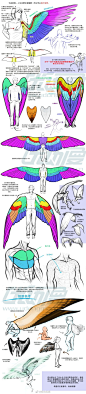 #优动漫好料推荐# 【画法教程】虽然人没有翅膀，但如果要画该怎么画看起来才不会有违和感呢？来看看今天这篇翅膀的画法教程更多教程>>>O网页链接 ​​​​