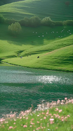 Elenanaer采集到背景