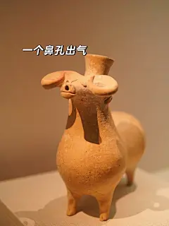 深圳博物馆新展|古人用的表情包来深圳啦 - 小红书