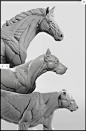 Green  - Quarter Horse ecorche 3dtotal, Gael Kerchenbaum : This is Green, our Quarter Horse /Equidae ecorche.

Green is available to order / pre-order on 3dtotal : 
- https://shop.3dtotal.com/anatomy-figure/animal-anatomy-figures/3dtotal-anatomy-equine-fi