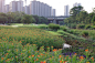 广州南岗河 / AECOM : 流淌着“幸福”的城央生态河