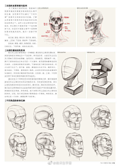 Snooooowyliu采集到画画基础