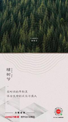 星鲶采集到节日