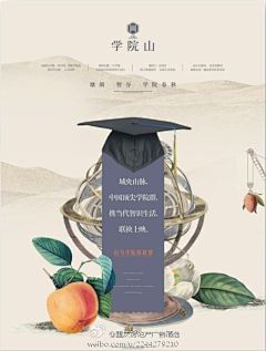 龙王公仔采集到学校