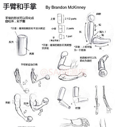 糖绛采集到R 人体结构