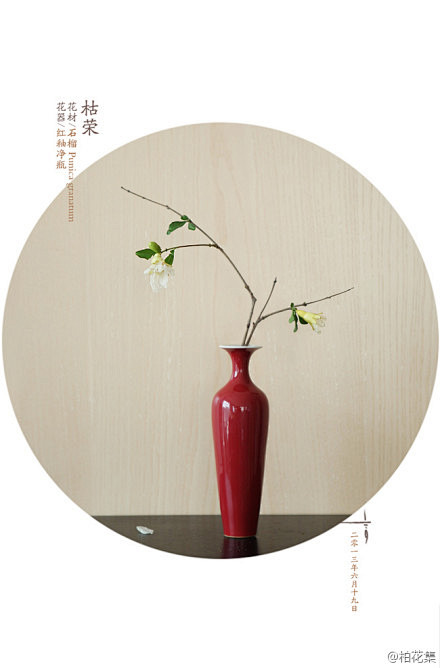六月十九日：枯荣。扛得住寂寞，方撑得起荣...