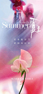 地产美业夏至节气海报