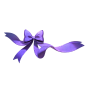 蝴蝶结-5