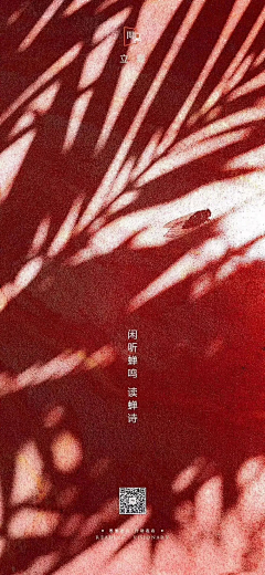 数字君丶采集到节日