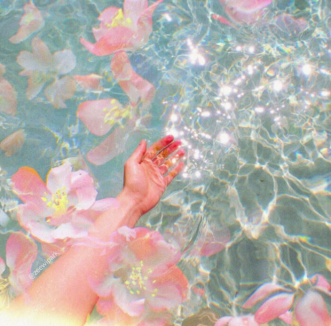20191012202558_npnxx...
