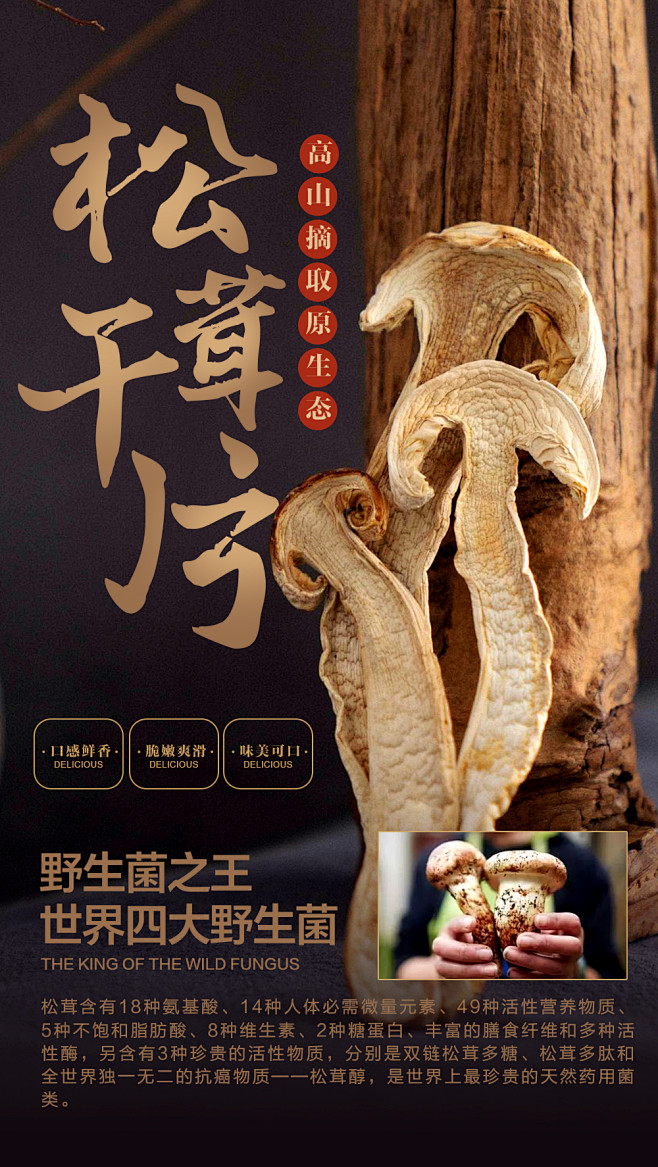 松茸手机海报