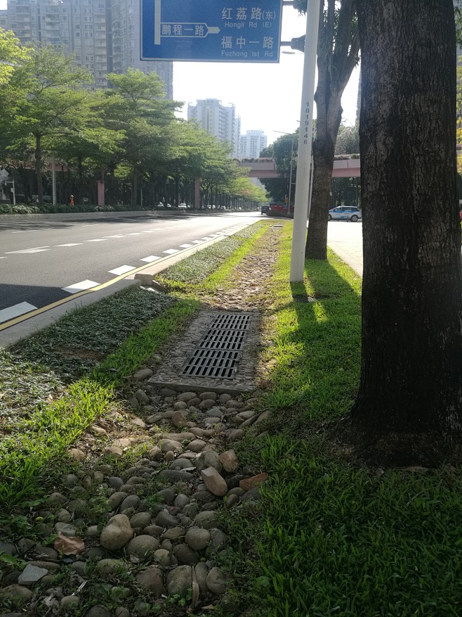 海绵绿化带