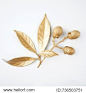 golden leaf and fruit design elements. Decoration elements for invitation, wedding cards, valentines day, greeting cards. Isolated on white background.