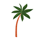Hand drawn vector abstract cartoon summer time graphic illustrations art with exotic tropical palm tree isolated on white background