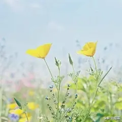 #小南问早安#这个世界上，有些人有多冷漠，有些人就有多温暖[太阳][太阳][太阳]周一早上好，希望你遇到那些温暖对你的人[爱你][爱你][爱你]